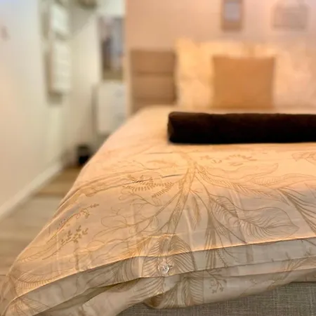 Center Terrasse Alphonse Dijon