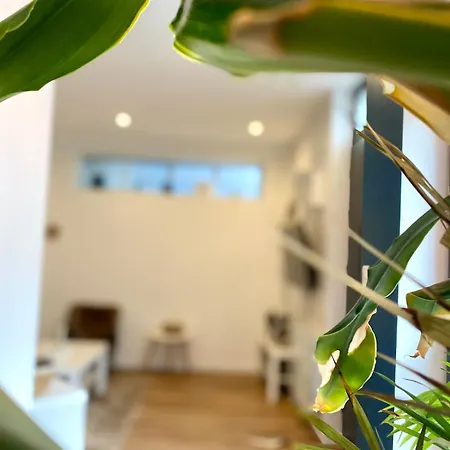 公寓 Center Terrasse Alphonse *