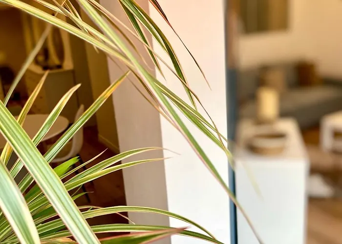 Center Terrasse Alphonse * Dijon