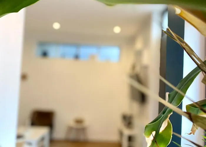 Apartment Center Terrasse Alphonse *