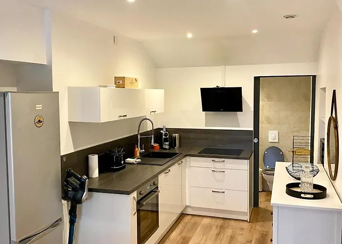 Center Terrasse Alphonse Διαμέρισμα Ντιζόν