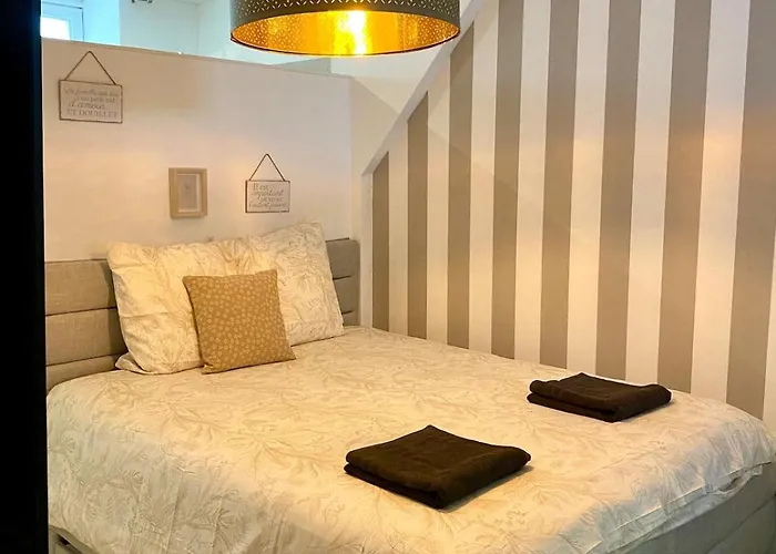 Apartment Center Terrasse Alphonse Dijon